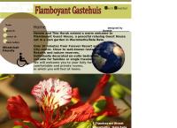 Flamboyant Guesthouse