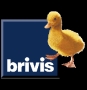 Brivis South Africa