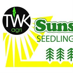 Sunshine Seedling Services