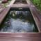 Koi Pond And Splash pool.