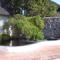 Pond