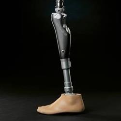 Golding's Orthopaedic Centre