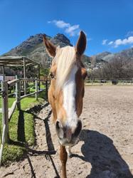 Riding Centre CC The
