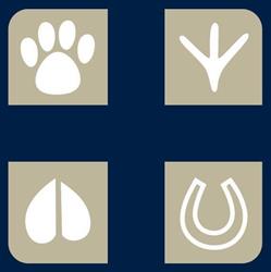 Blue Cross Veterinary Hospital