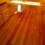 Uploaded by visitor on 2017/03/20 - yellow wood