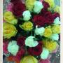 Mixed Roses