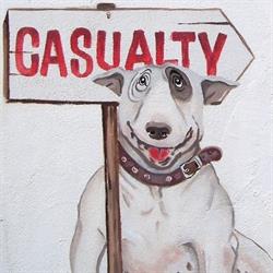 Kleinmond Animal Clinic