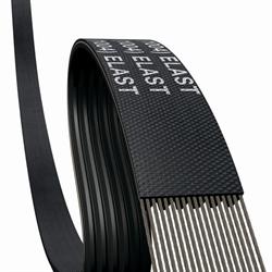 Polyscope CC