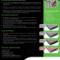 deck-2