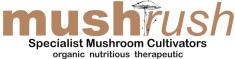 Mushrush