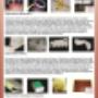 Polyurethane Products