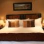 Safari - Executive Suite