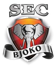 Bjoko Security and Training Services