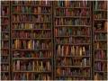 READING - LIBRARY