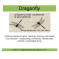 Dragonfly Rustic Woodworks & Eco-Services