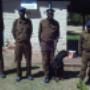 M S M Security Officers on site