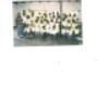 Uploaded by visitor on 2016/07/28