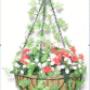 Garden Basket