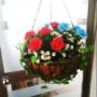 Hanging-Baskets