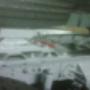 oem painting jobs