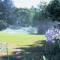 Irrigation
