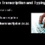 Transcribing and typing