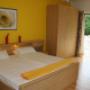 yellow rose