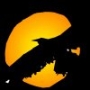 Eagle Transcription & Translation Services