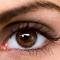 Optometrists-Sinoville-Oogkundiges