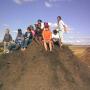 BULK compost, potting soil, lawn dressing, mulch