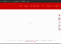 WEB ARTIST - Digital Marketing Agency's website