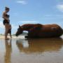 Rolling in the sea