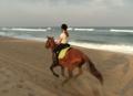 Non-Stop Beach & Bush Ride