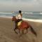 Beach-Riding