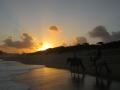 Beach Sunset Rides