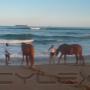 Uploaded by visitor on 2016/10/06