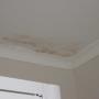Roof Leak Repairs