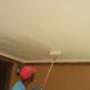 Ceiling and Cornice Installation | Repairs