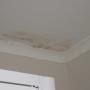 Roof Leak Repair