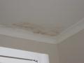 We Repair Roof Leaks