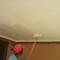 Painting-Ceiling