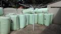 "Think Green" Roof Insulation