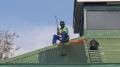 Roof Repair and Roof Painting