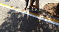 Parking Bay Lines and Numbers