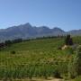 Tulbagh Valley
