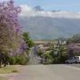 Tulbagh