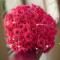 Flowers: Bouquets