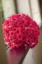 Creative Occasions & Ideas