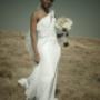 Ayandas Wedding