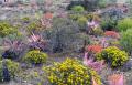 KAROO VIEW COTTAGES 2013 SPECIALS